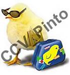 Avatar de CCV_Pinto