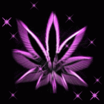 Avatar de Run_Or_DIe