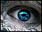 Avatar de N6gesemees