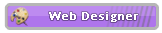 WEB Designer