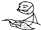 Newspaper Guy
